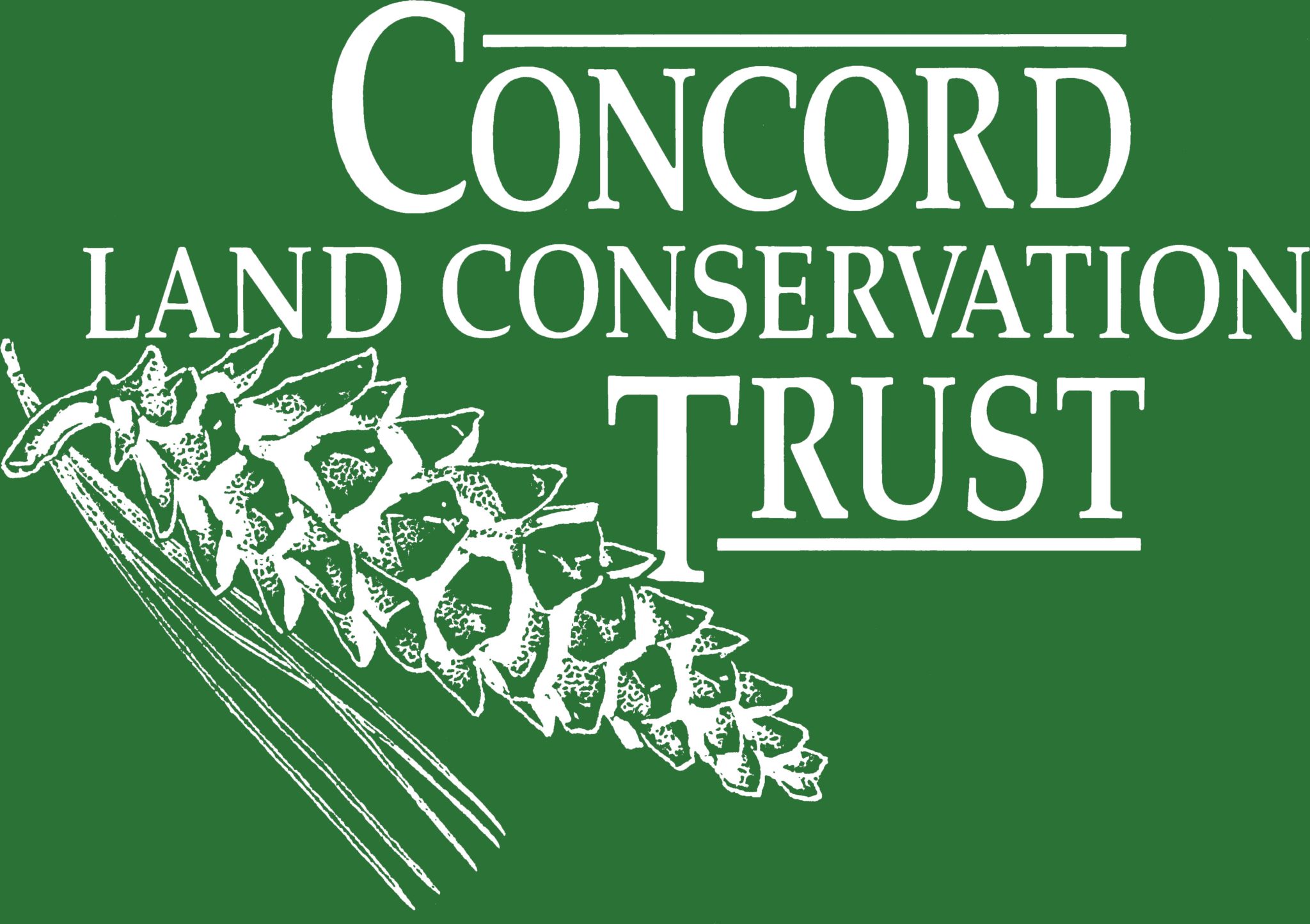 Weed Warrior Volunteers CISMA